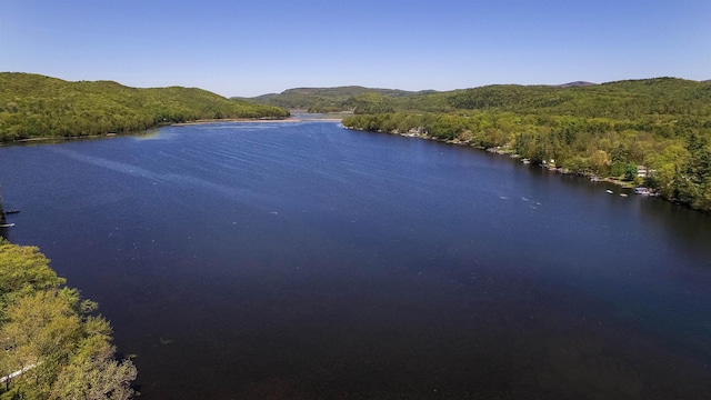 property view of water featuring a wooded view and a mountain view