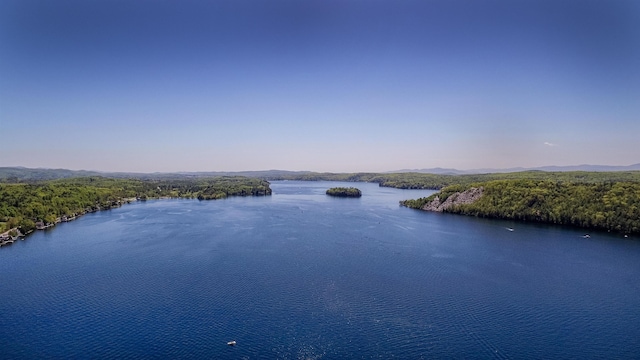 water view featuring a view of trees