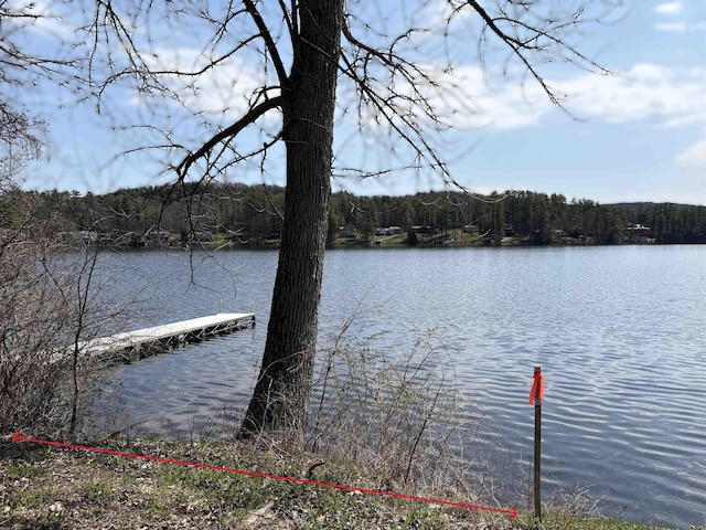 view of dock featuring a water view and a view of trees
