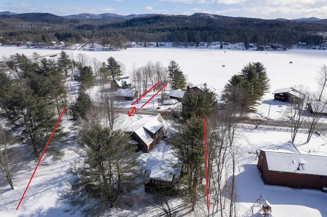 snowy aerial view featuring a mountain view and a view of trees