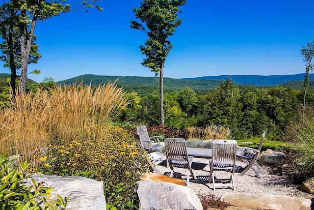 view of mountain feature featuring a wooded view