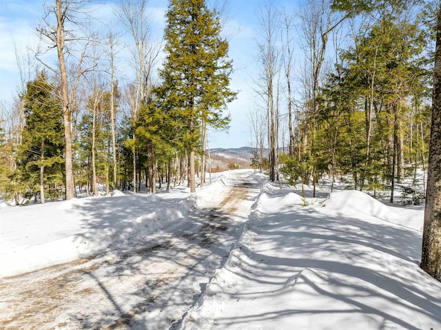 63 Old Winslow Rd, Wilmot NH, 03287 land for sale