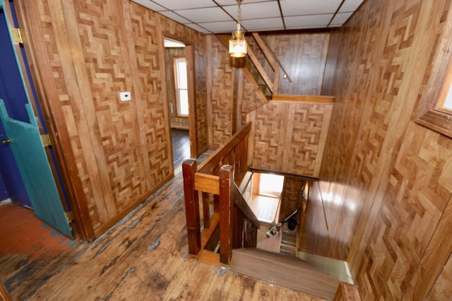 stairway with a drop ceiling, wood walls, and wood finished floors