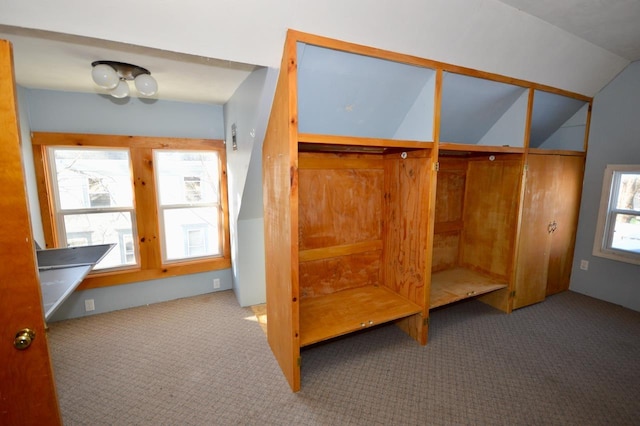 mudroom featuring carpet floors and vaulted ceiling