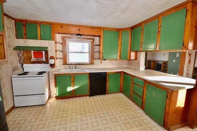 kitchen with white electric stove, a sink, green cabinets, and dishwasher