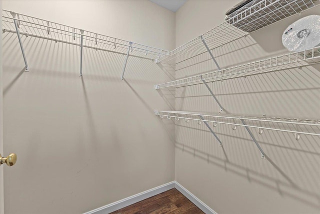 spacious closet featuring dark wood-style flooring