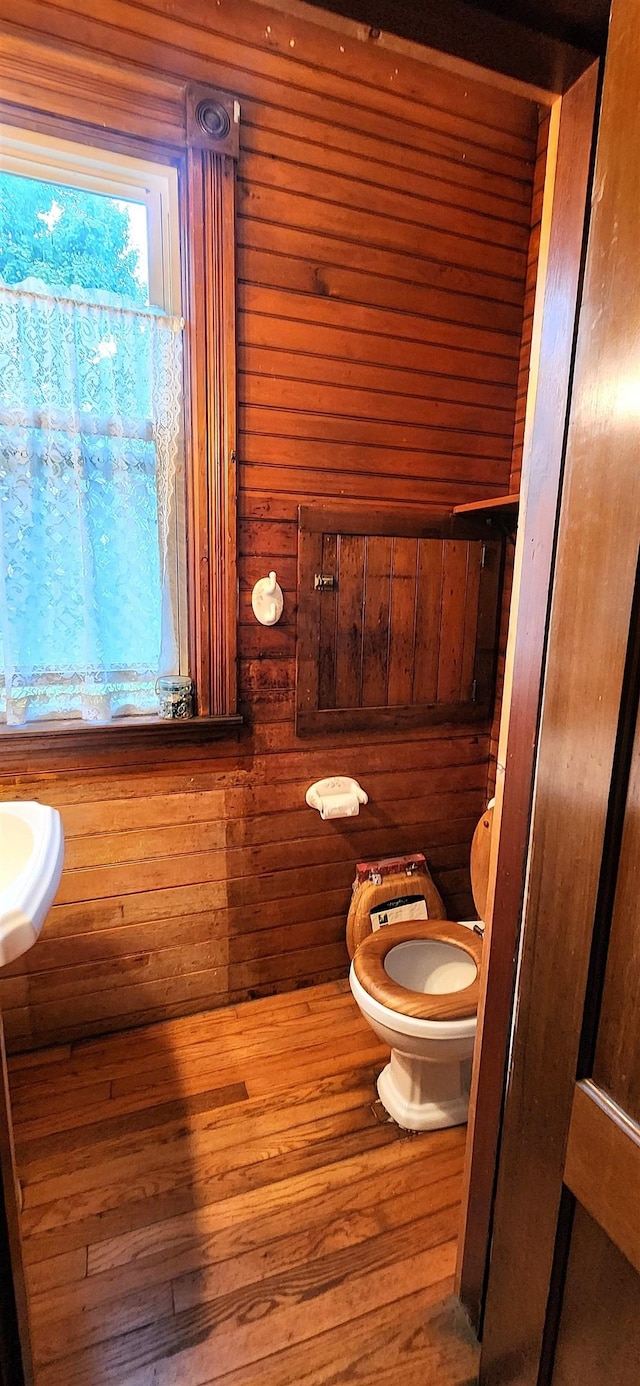 bathroom featuring wood walls, toilet, and wood finished floors