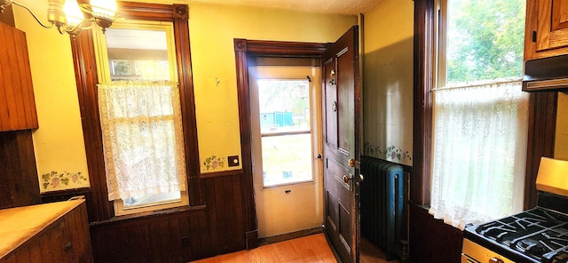 interior space with light wood finished floors, a healthy amount of sunlight, wainscoting, and radiator