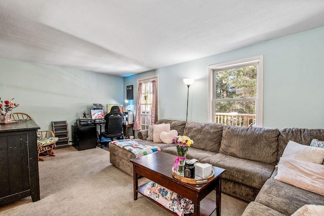 view of carpeted living area