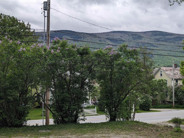 238/266 S Main St, Danby, VT 05739 - view of mountain background