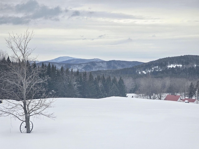 property view of mountains with a forest view