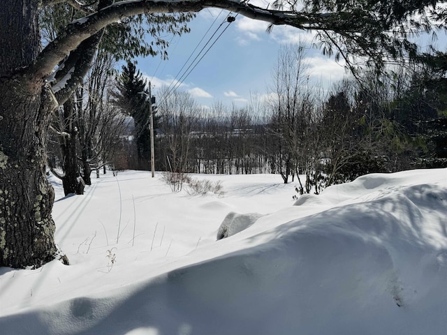 view of yard covered in snow