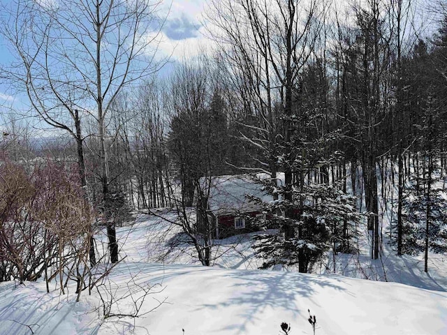 view of yard layered in snow