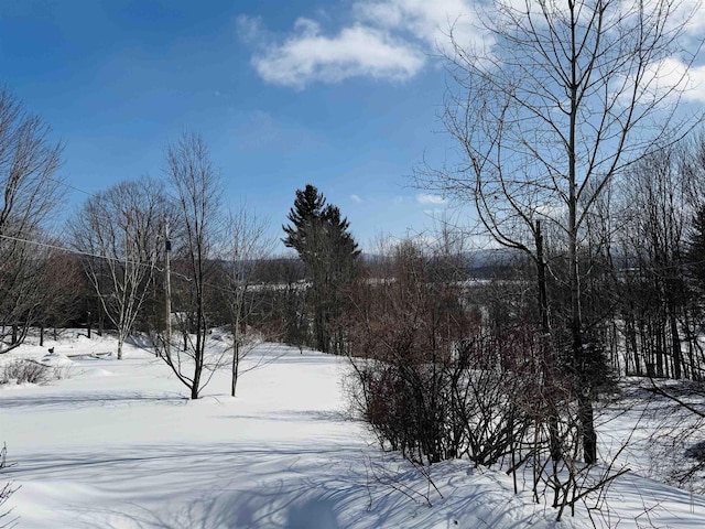 view of snowy yard