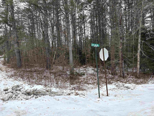 Listing photo 2 for 0 Keyes Hollow Rd, Lempster NH 03605