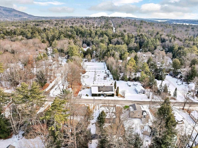 drone / aerial view with a wooded view and a mountain view