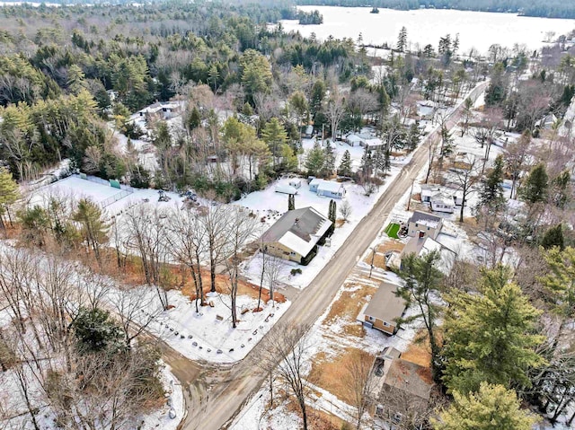 snowy aerial view with a view of trees