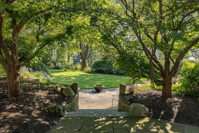 view of community with a fire pit, a patio, and a yard