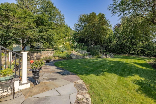 view of yard featuring a patio