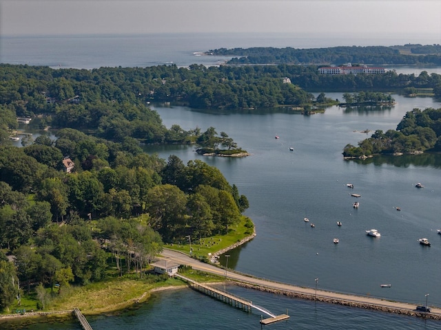 bird's eye view with a water view and a view of trees