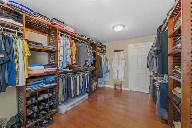 walk in closet with wood finished floors