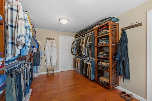 walk in closet featuring wood finished floors