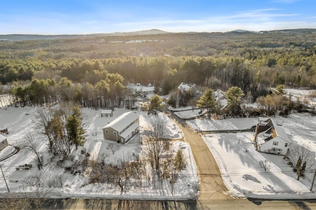 bird's eye view with a forest view