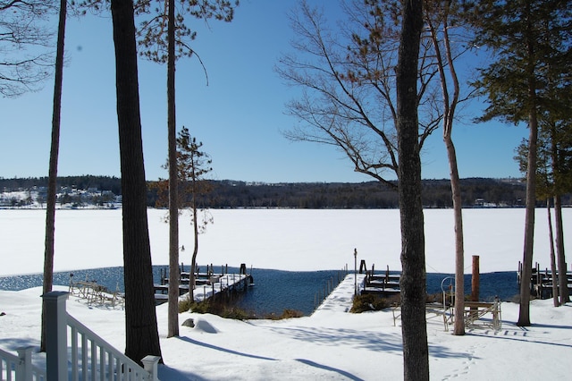 view of dock