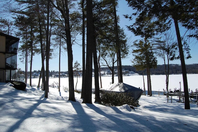 view of snowy yard