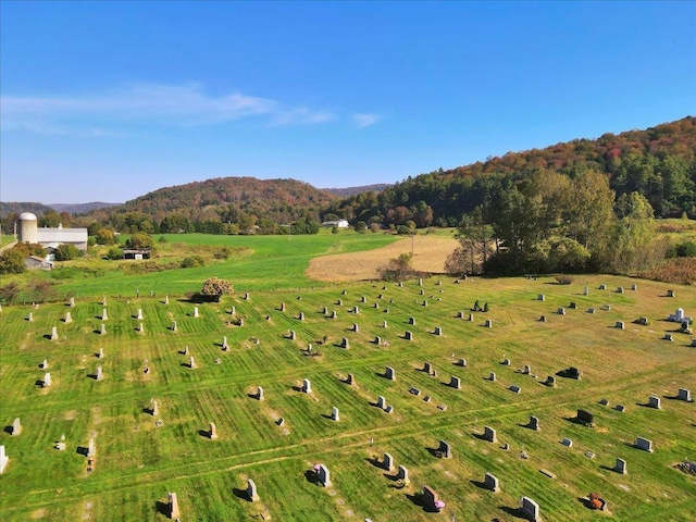 view of mountain feature featuring a rural view