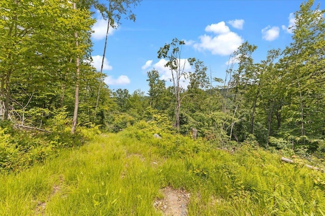 Listing photo 2 for LOT1 Marshall Rd, Duxbury VT 05676