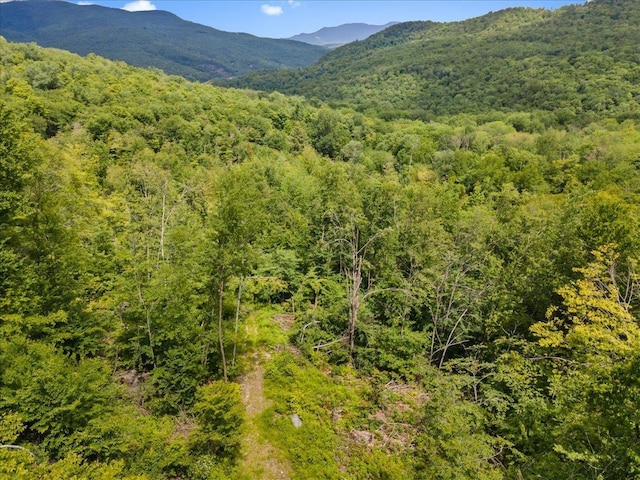 Listing photo 3 for LOT1 Marshall Rd, Duxbury VT 05676