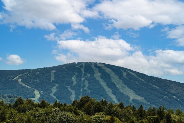 property view of mountains with a view of trees