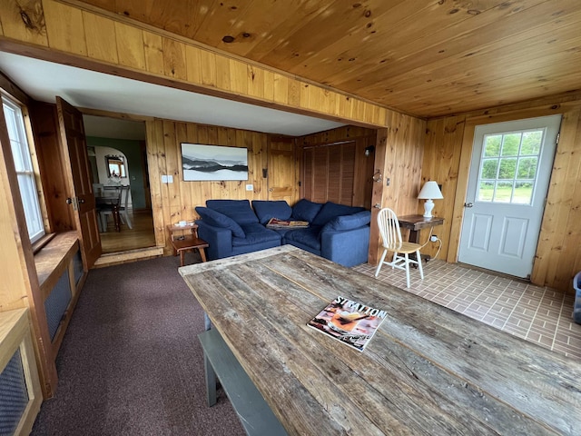 living area featuring wood walls and wooden ceiling