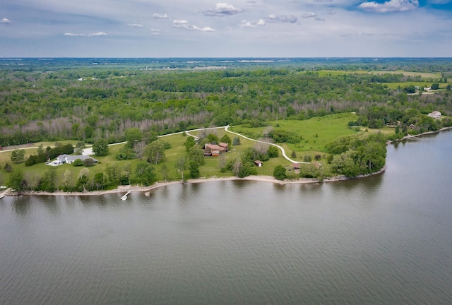 birds eye view of property with a water view and a view of trees