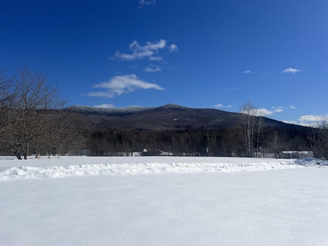 LOT87 Brook Rd, Lancaster NH, 03584 land for sale