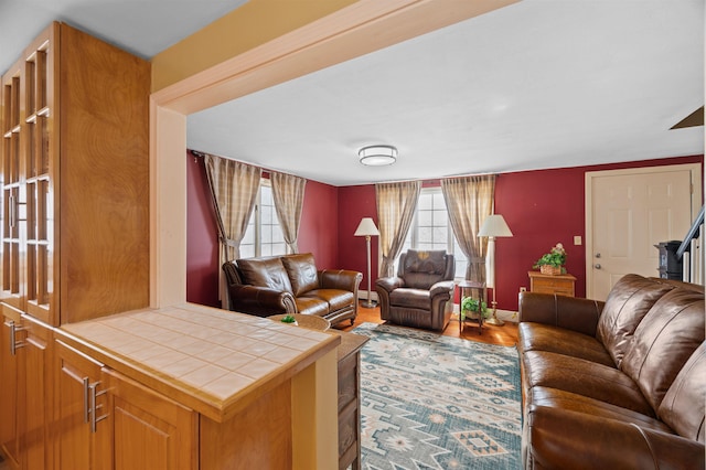 living area featuring wood finished floors