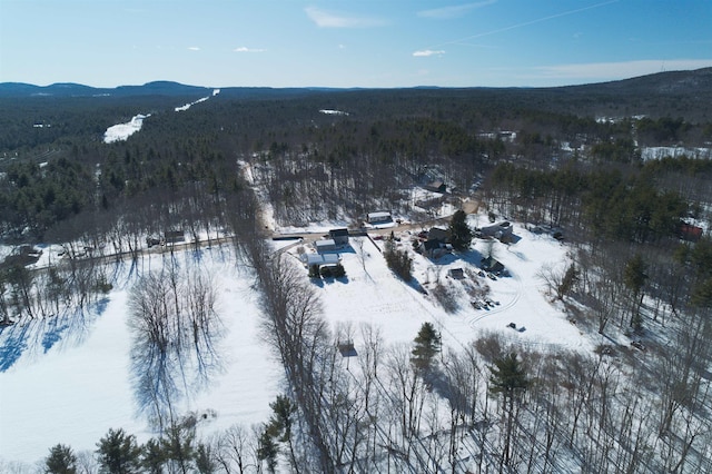 snowy aerial view with a mountain view and a view of trees