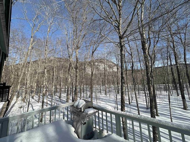 snow covered deck with area for grilling