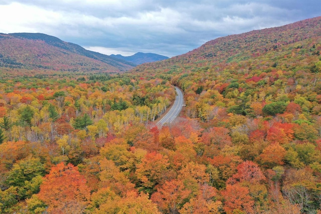 mountain view featuring a wooded view