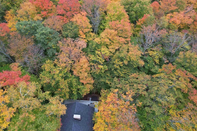 bird's eye view featuring a forest view