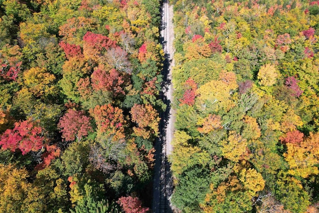 bird's eye view with a forest view