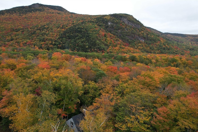 view of mountain feature featuring a wooded view