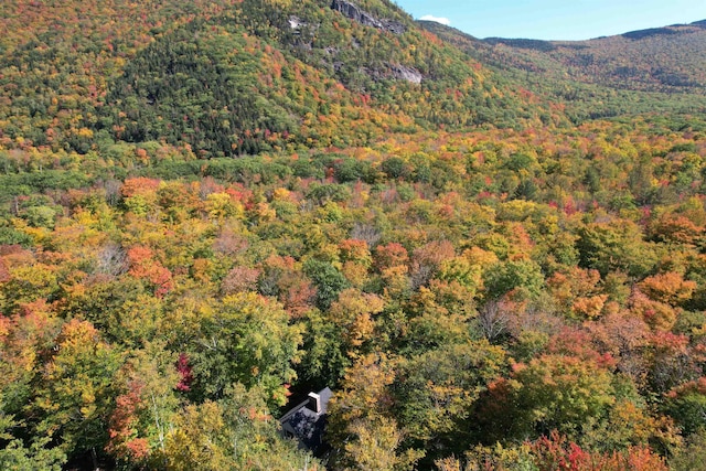 view of mountain feature featuring a wooded view