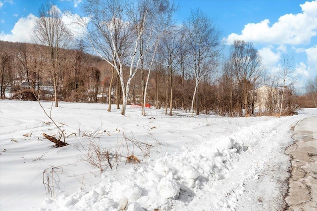 view of yard covered in snow