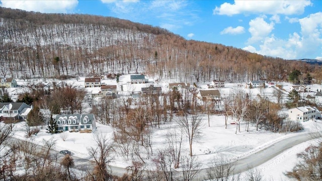 snowy aerial view featuring a mountain view and a forest view