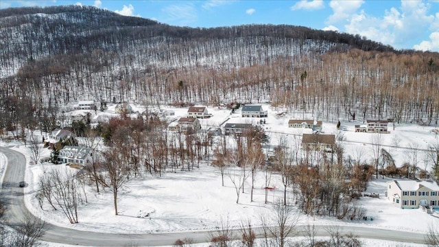 view of mountain feature with a forest view