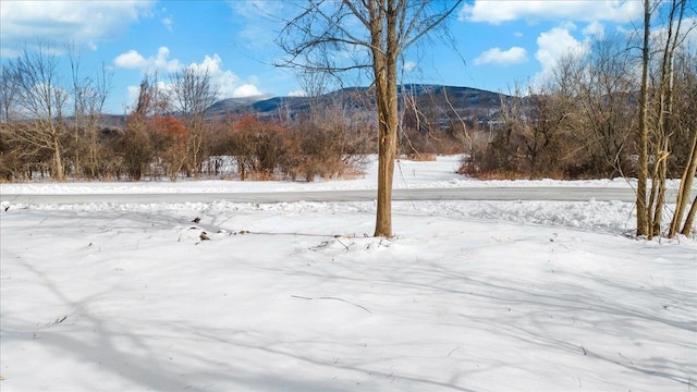 yard covered in snow featuring a mountain view