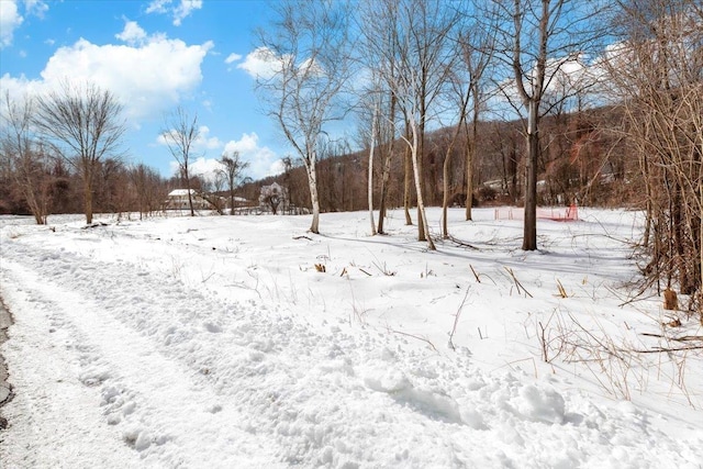 view of yard covered in snow