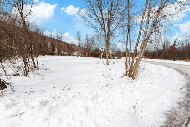 view of snowy yard